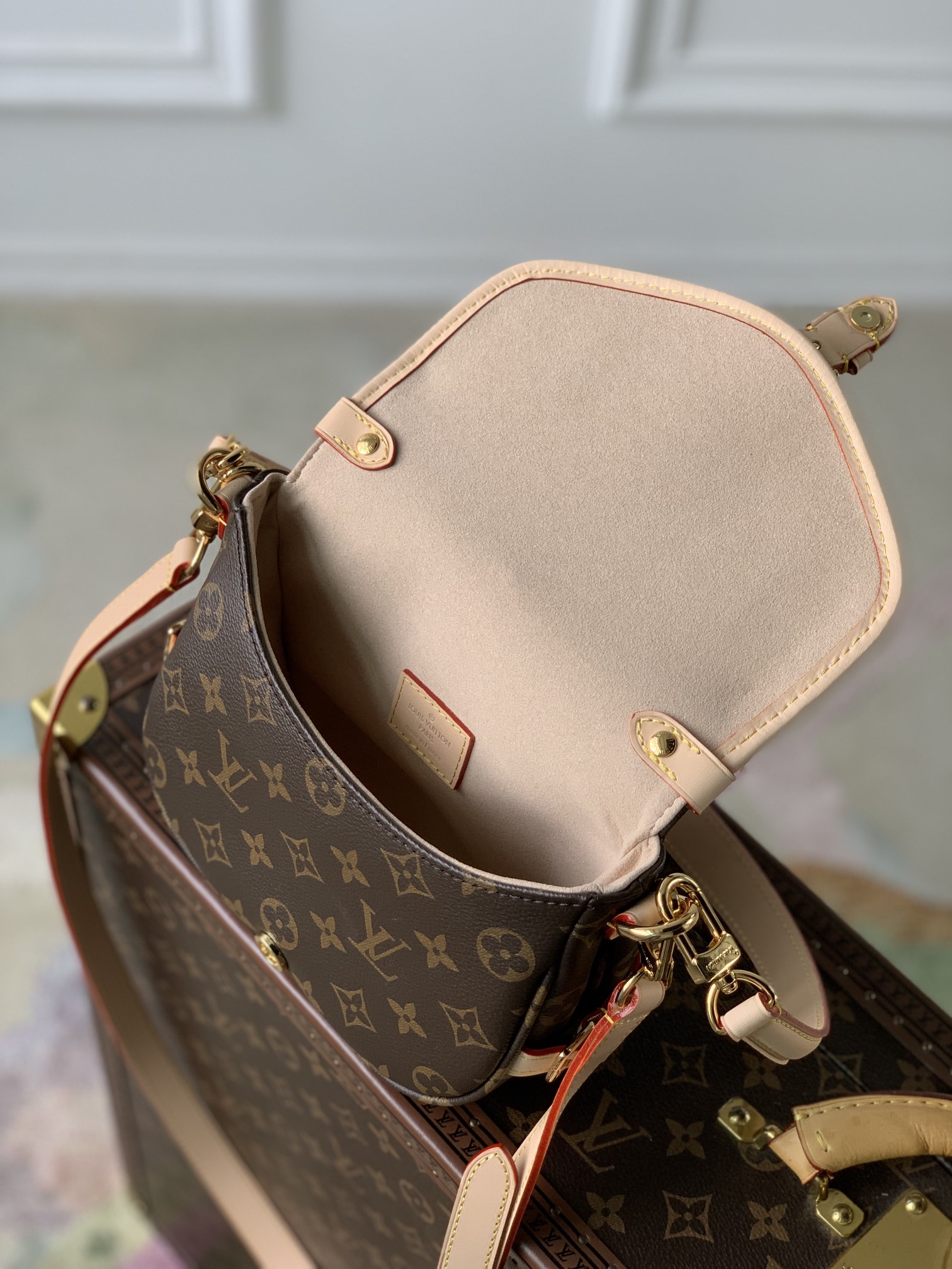 LV Satchel bags